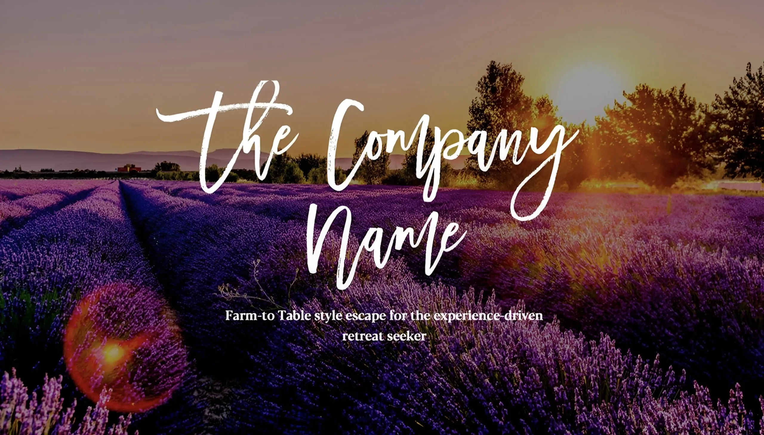 ...and more portfolio example 5