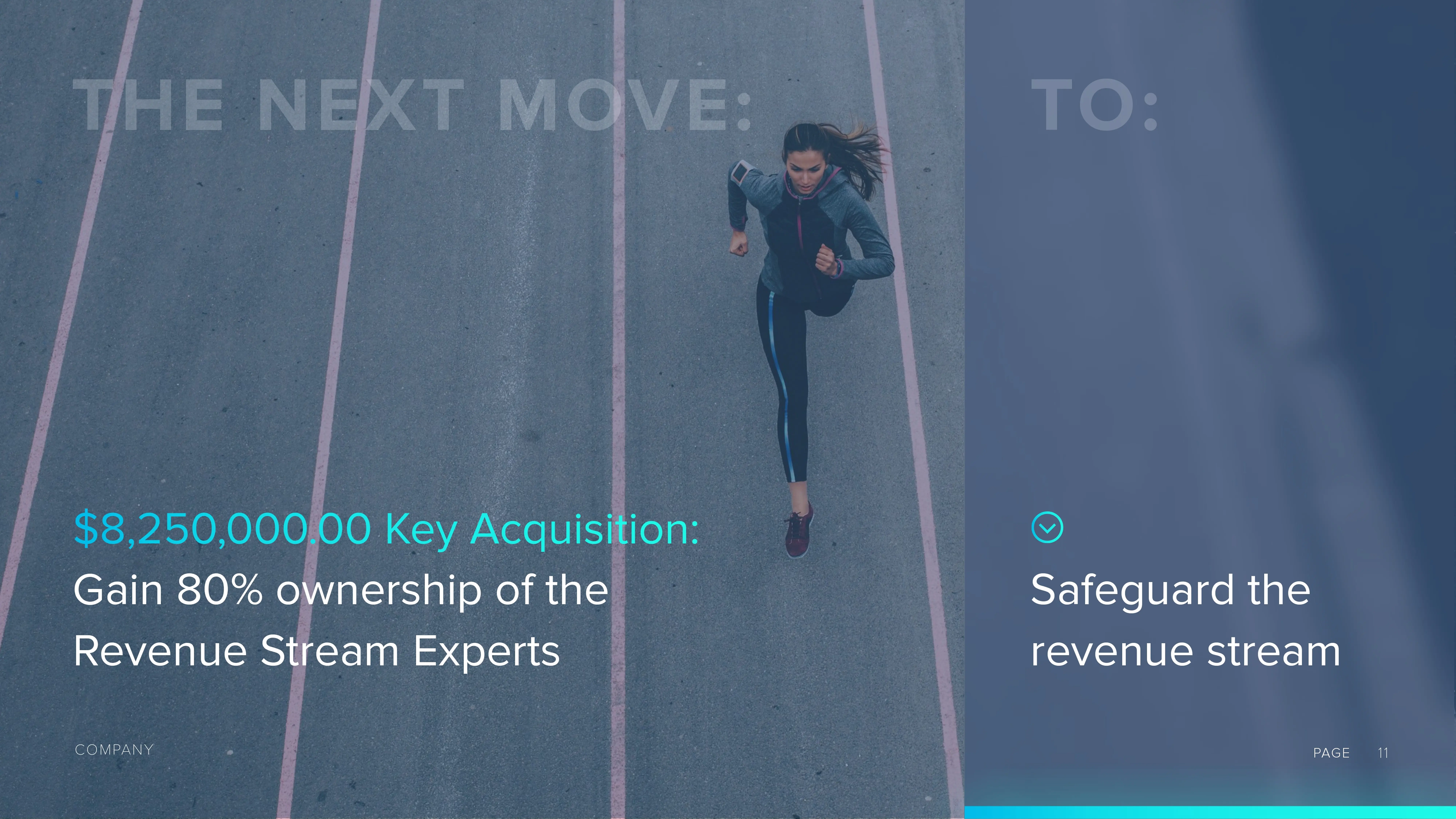 VC / PE portfolio example 8