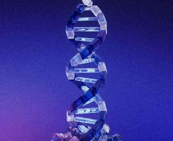 Wave Up The way to a perfect biotech pitch deck | Waveup