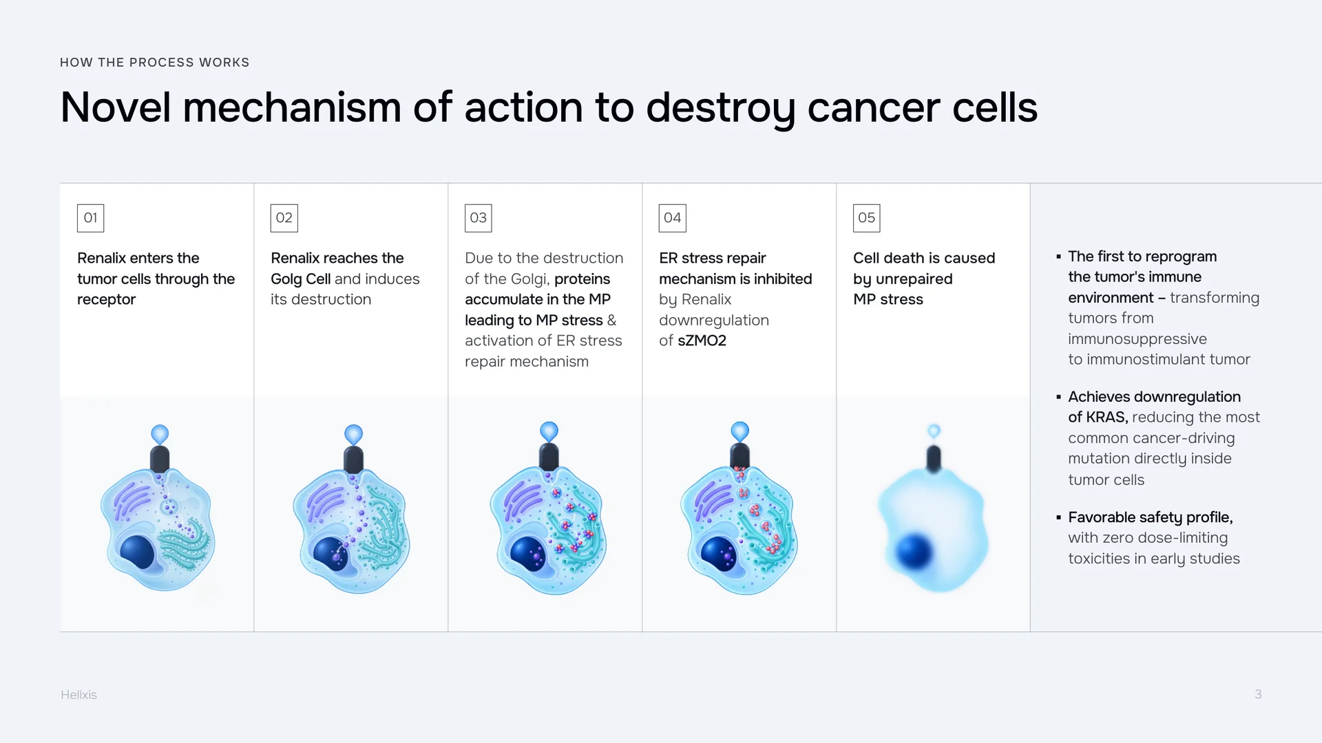 Investor deck slide: how the biologic destroys cancer cells, in five steps